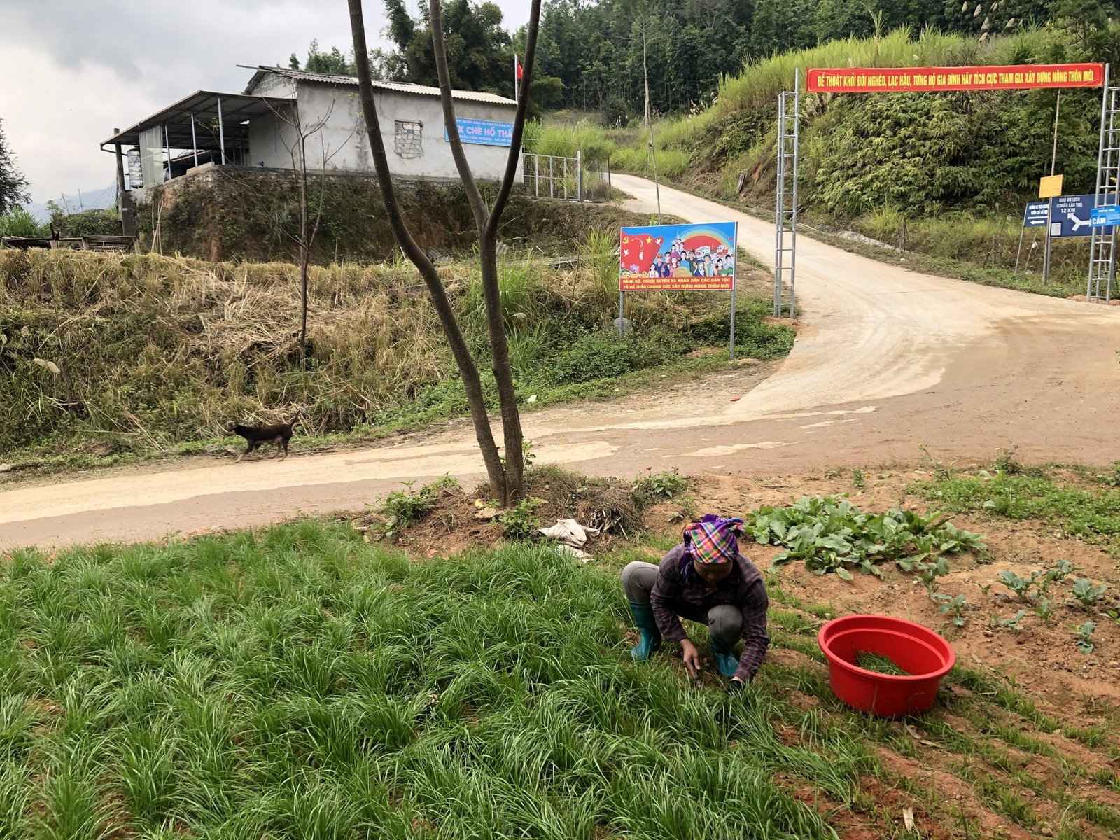 Descubriendo el Alma de Indochina: La Guía Definitiva para un Tour Guiado en Bicicleta por Vietnam